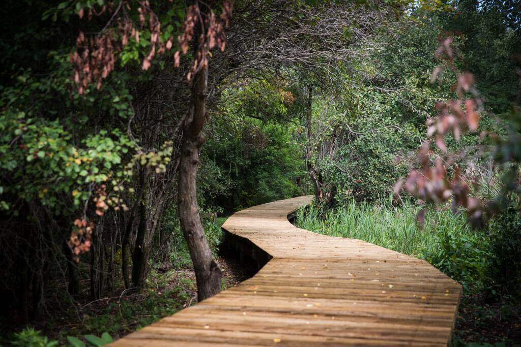 Sentier de la rivière-de-la-Tortue